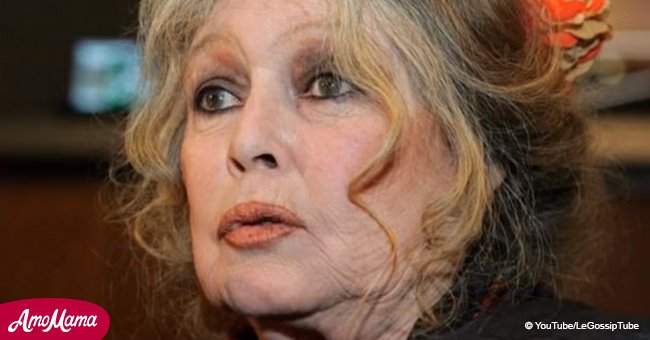 Brigitte Bardot annonce le décès de son Roudoudou: 'Mes larmes de détresse'
