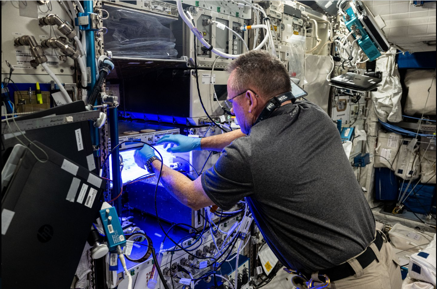 Une photo de Barry Wilmore dans l'espace tirée d'un post du 24 août 2024. | Source : X/NASA