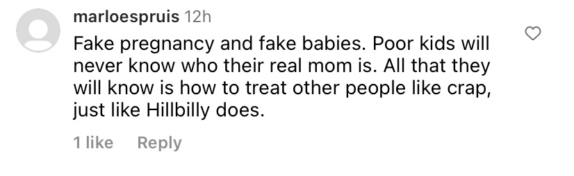 Un commentaire négatif qualifiant la grossesse d'Hilary Swank de "fausse" sur la photo montrant ses jumeaux postée le 10 avril 2023 | Source : Instagram.com/hilaryswank