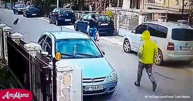 Une vidéo virale montre comment un voleur peut facilement voler un chiot à travers la clôture