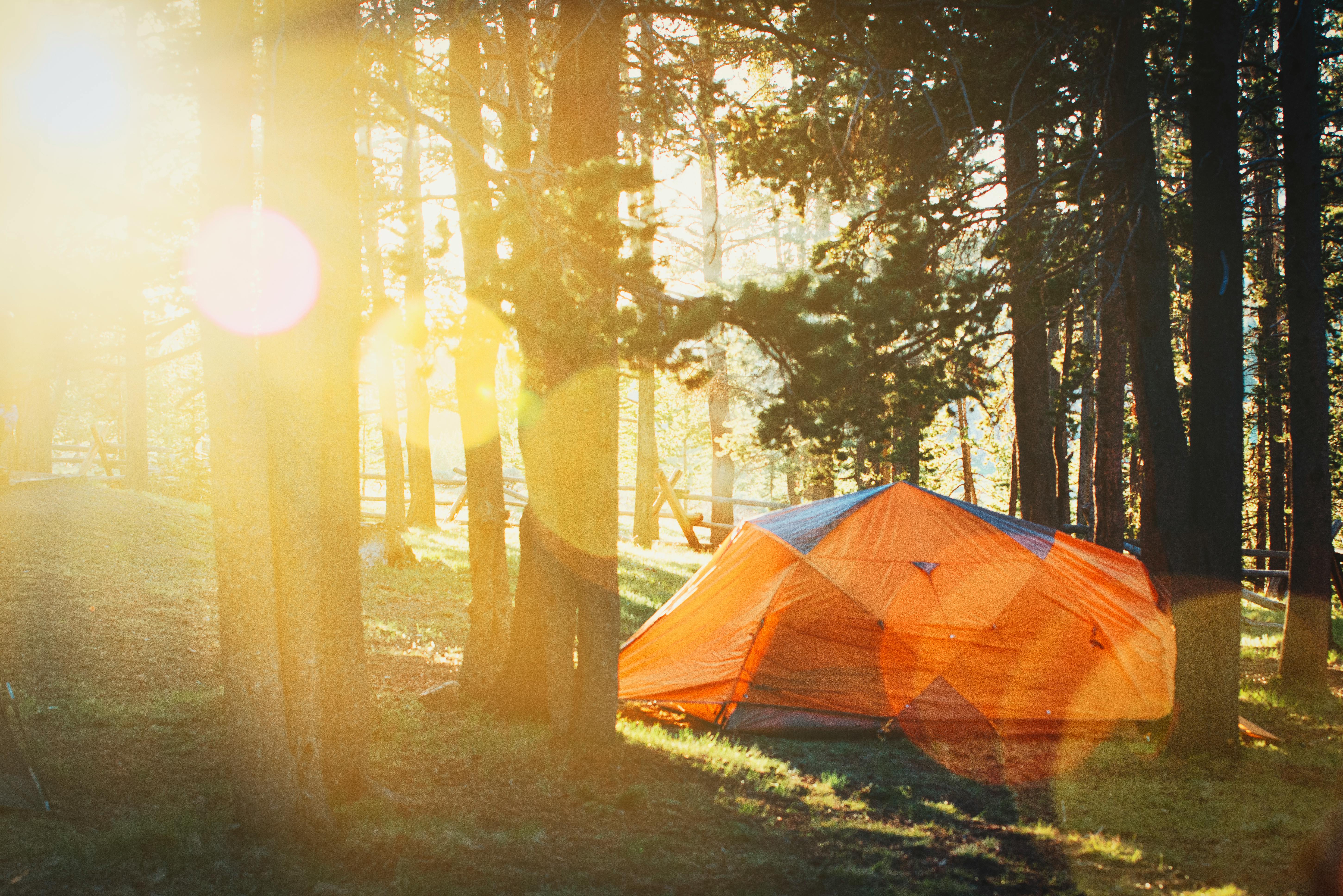 Une tente lumineuse | Source : Pexels