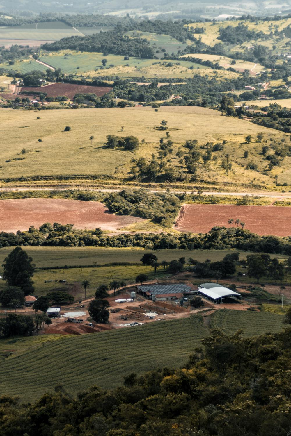 Un terrain | Source : Pexels