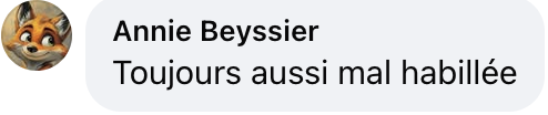 Commentaire d'internaute sur le look de Charlotte Gainsbourg au Festival de Cannes | Source : capture réseaux sociaux