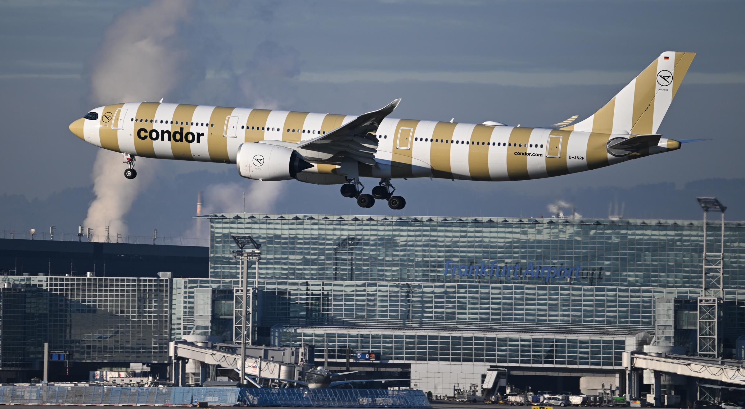 Un Airbus A330-941 de Condor rayé d'or et de blanc atterrit à l'aéroport de Francfort le 14 janvier 2025 | Source : Getty Images