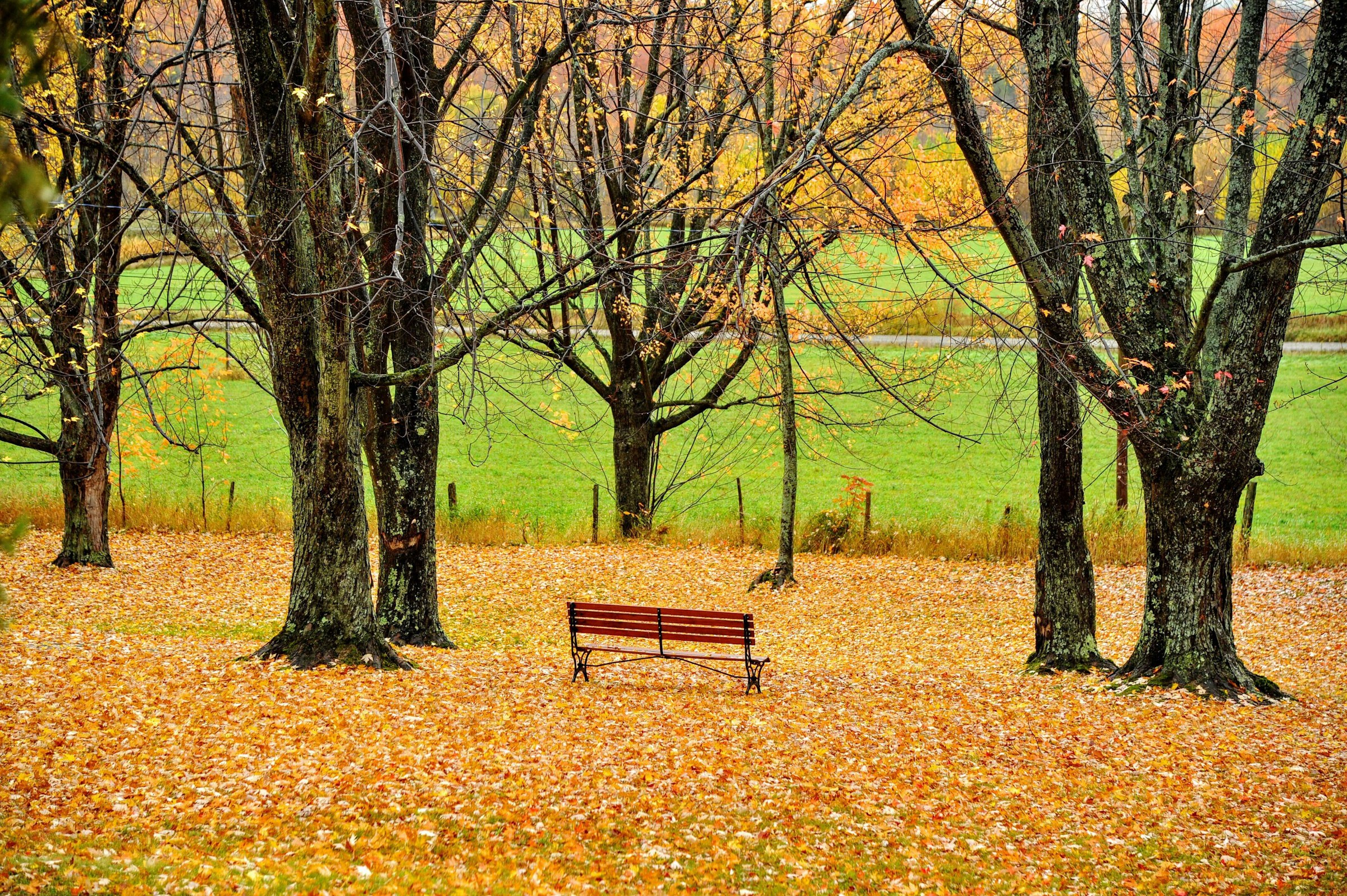 Un parc vide | Source : Unsplash