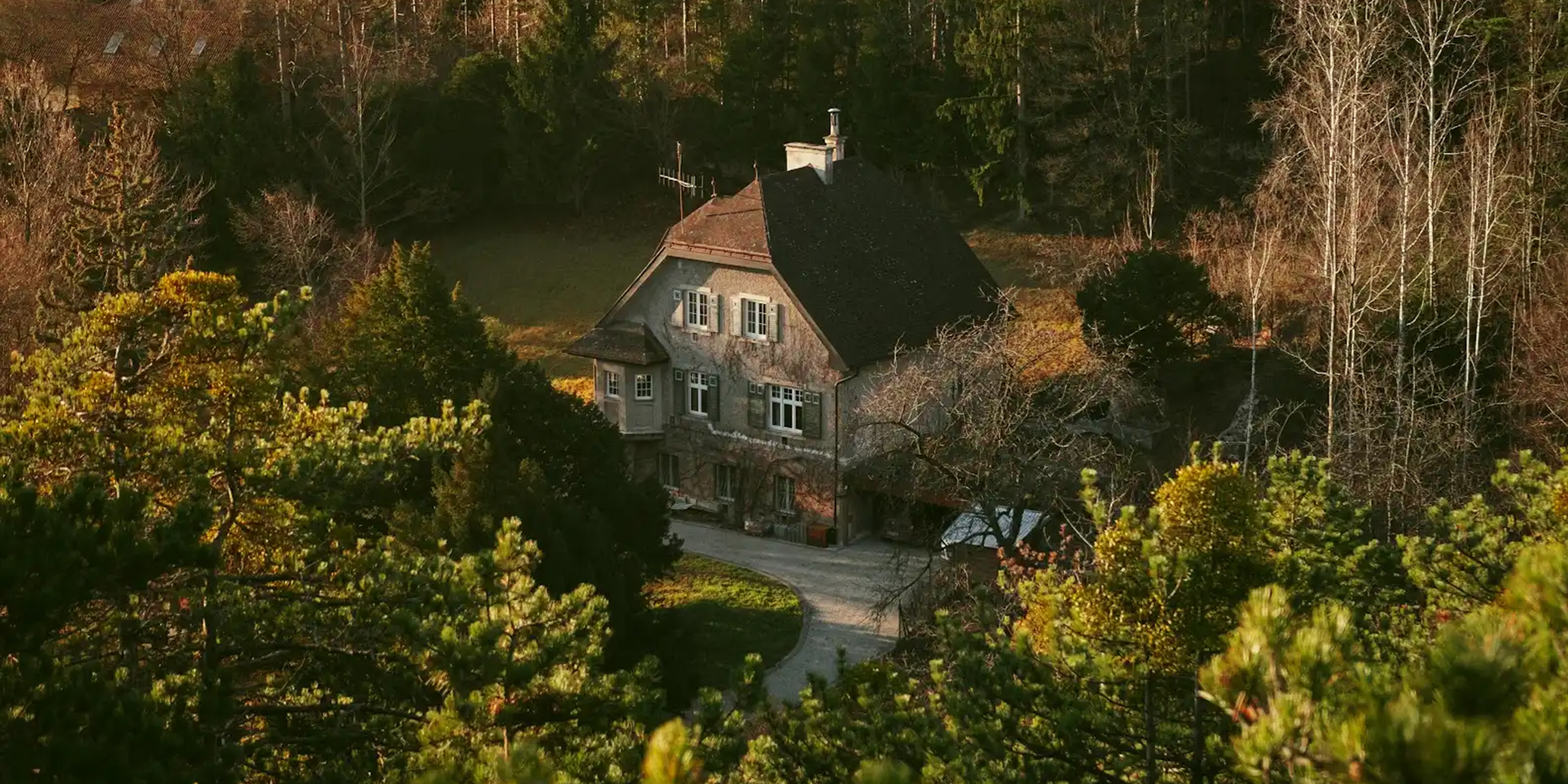 La maison qui se cache dans les bois | Source : Pexels