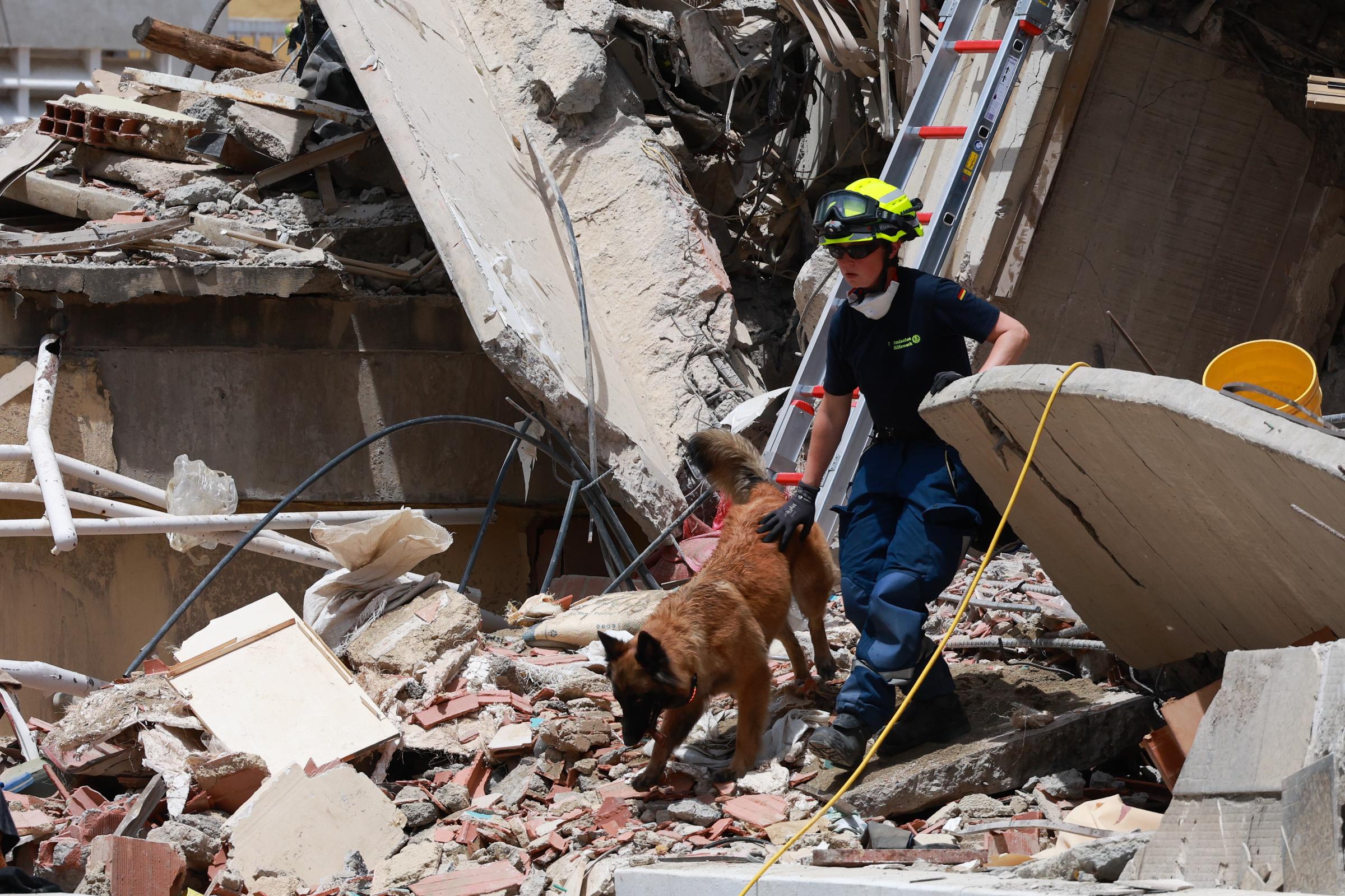 Un secouriste de l'Agence fédérale allemande d'aide technique (THW) et un chien de sauvetage fouillent les décombres à La Guaira. Des équipes internationales se sont jointes aux équipes locales alors que les opérations de sauvetage se poursuivaient après les tremblements de terre dévastateurs. | Source : Getty Images