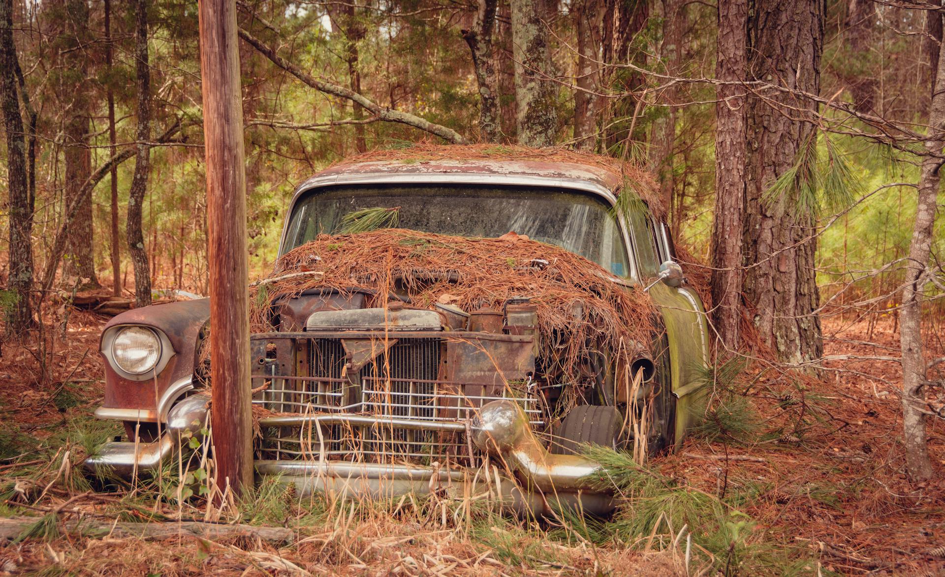 Une voiture abandonnée dans une forêt | Source : Pexels