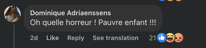 Commentaire d'une internaute sur la naissance de l'enfant de Vincent Cassel | Source : capture Facebook