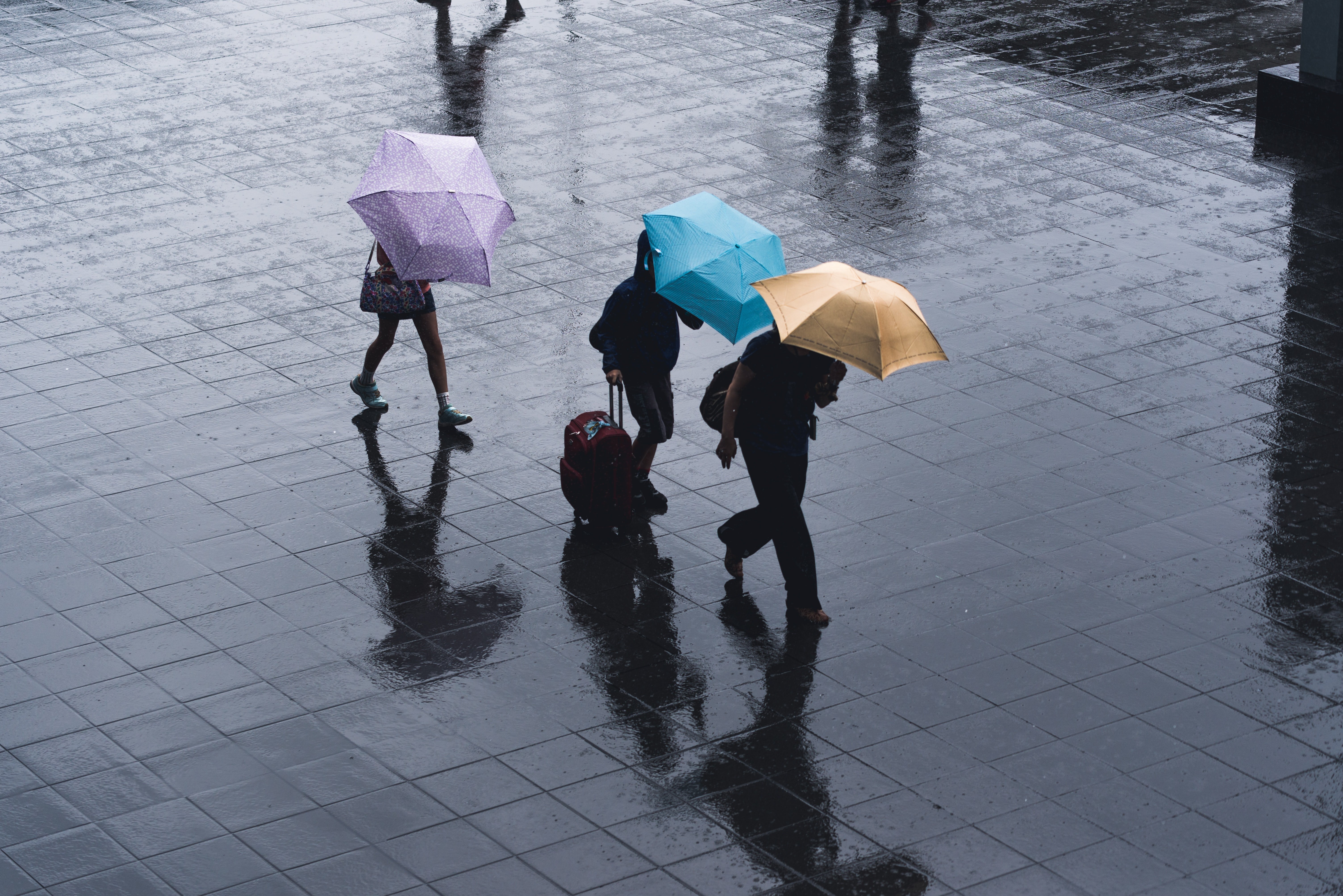 Des gens marchant sous la pluie | Source : Unsplash