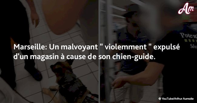 Marseille: Un malvoyant " violemment " expulsé d'un magasin à cause de son chien-guide
