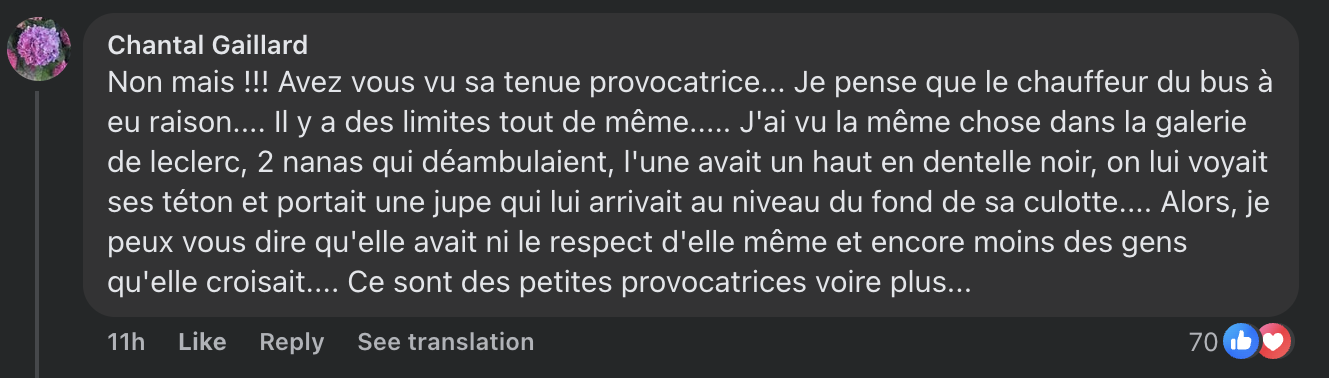 Capture d'écran du commentaire d'un internaute I Source : Facebook BFMTV