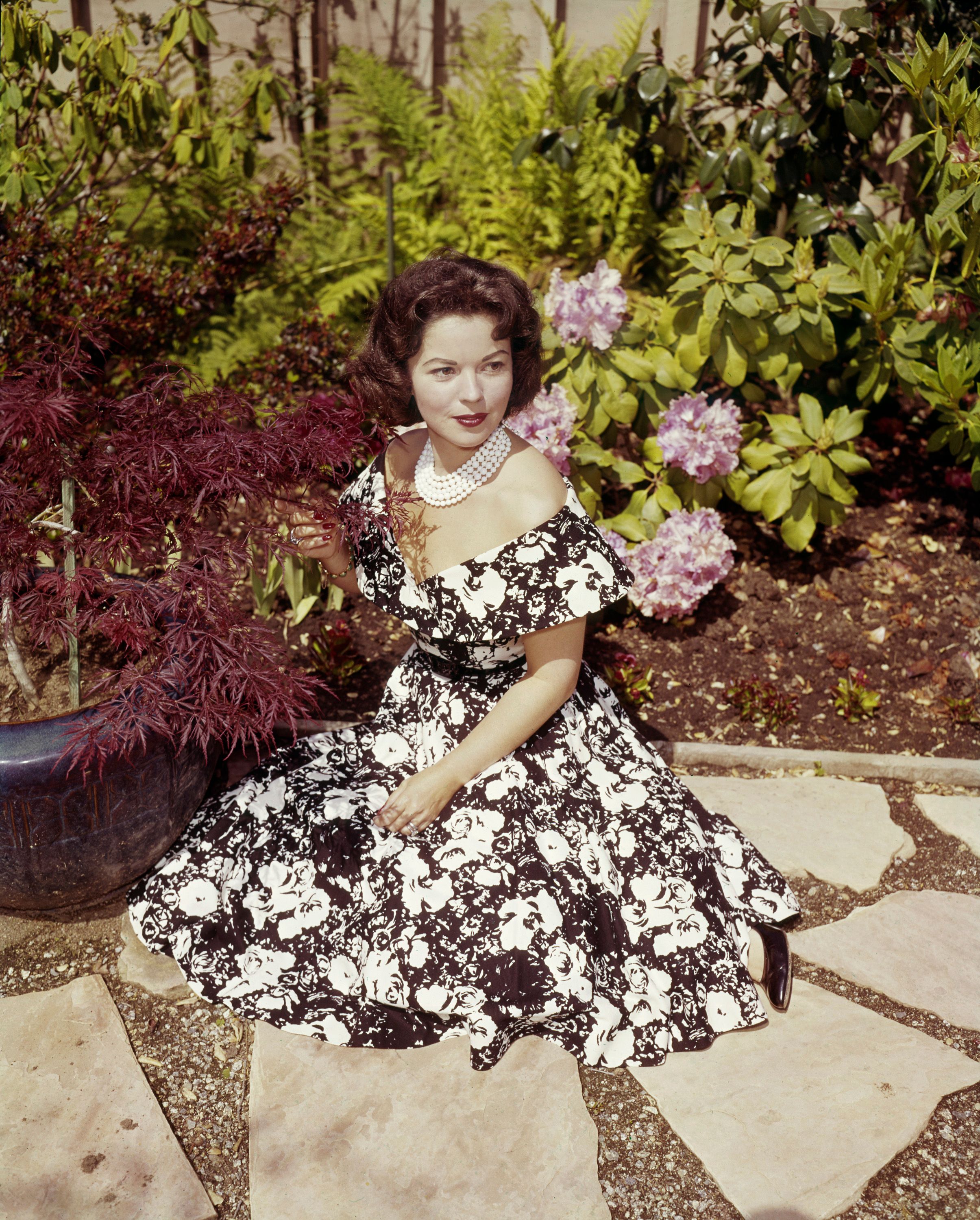 L'actrice Shirley Temple. | Photo : Getty Images