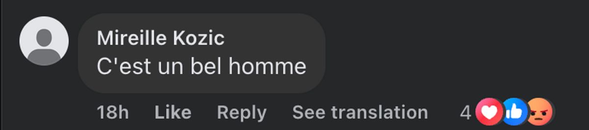 Commentaire d'internaute sur l'ancien garde du corps de Brigitte Macron | Source : capture Facebook