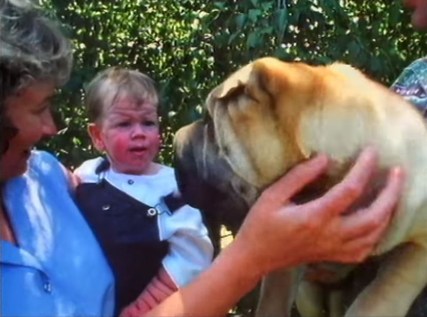 Debbie Tennent tient son fils, Tomm Tennent, tout en caressant un Shar Pei | Source : YouTube.com/60 Minutes Australia