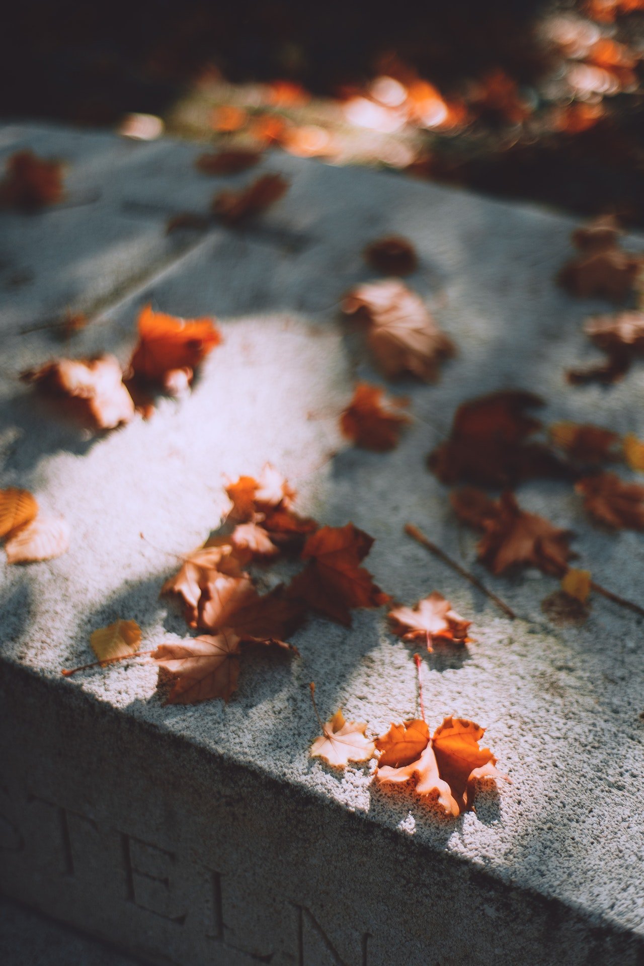 Feuilles tombées sur une pierre tombale | Source : Pexels