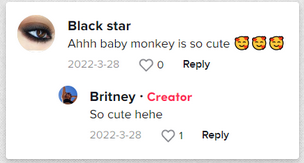 Un commentaire positif sur le bébé de Britney | Source : tiktok.com/@britneyisthebest_
