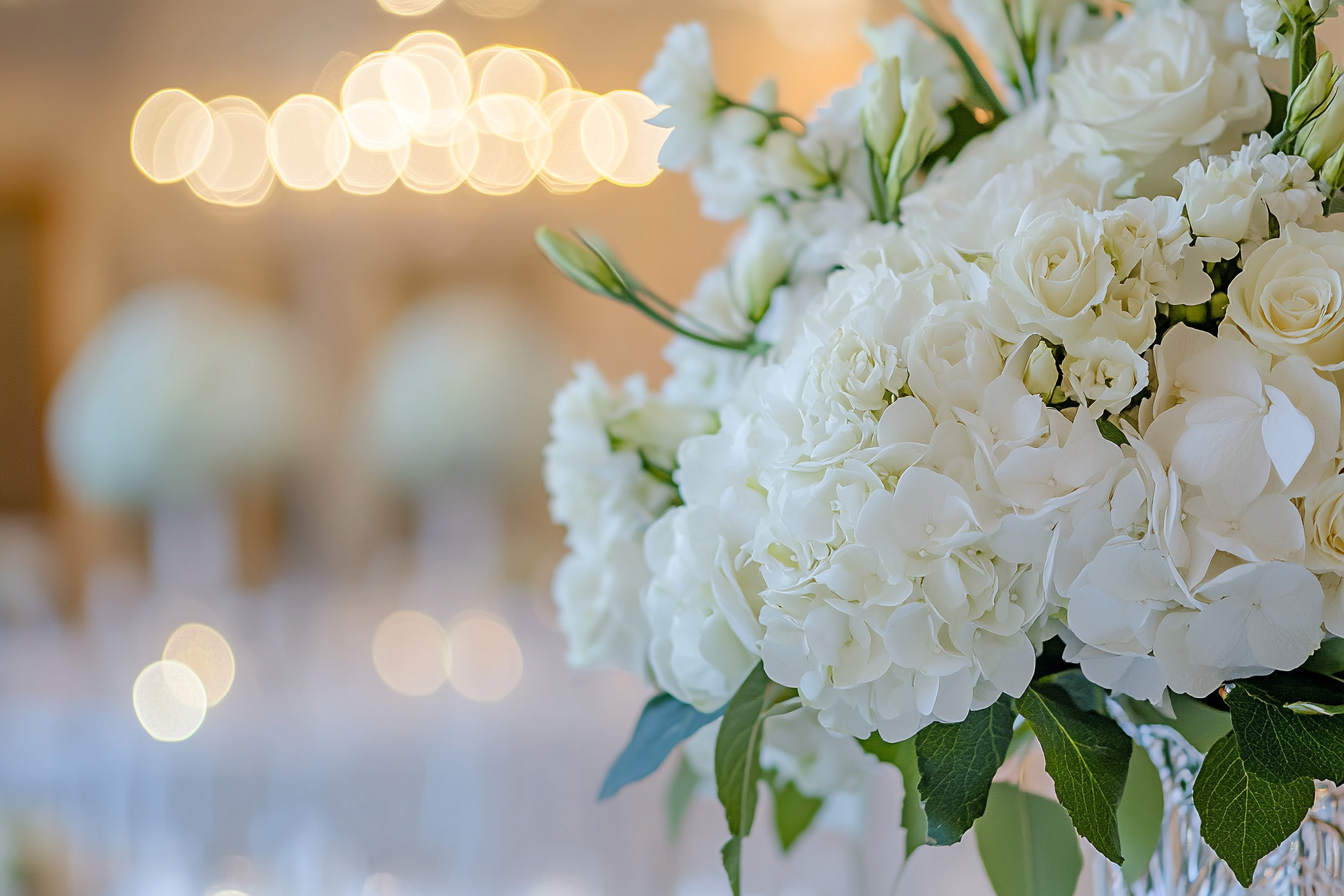 Fleurs blanches | Source : Midjourney