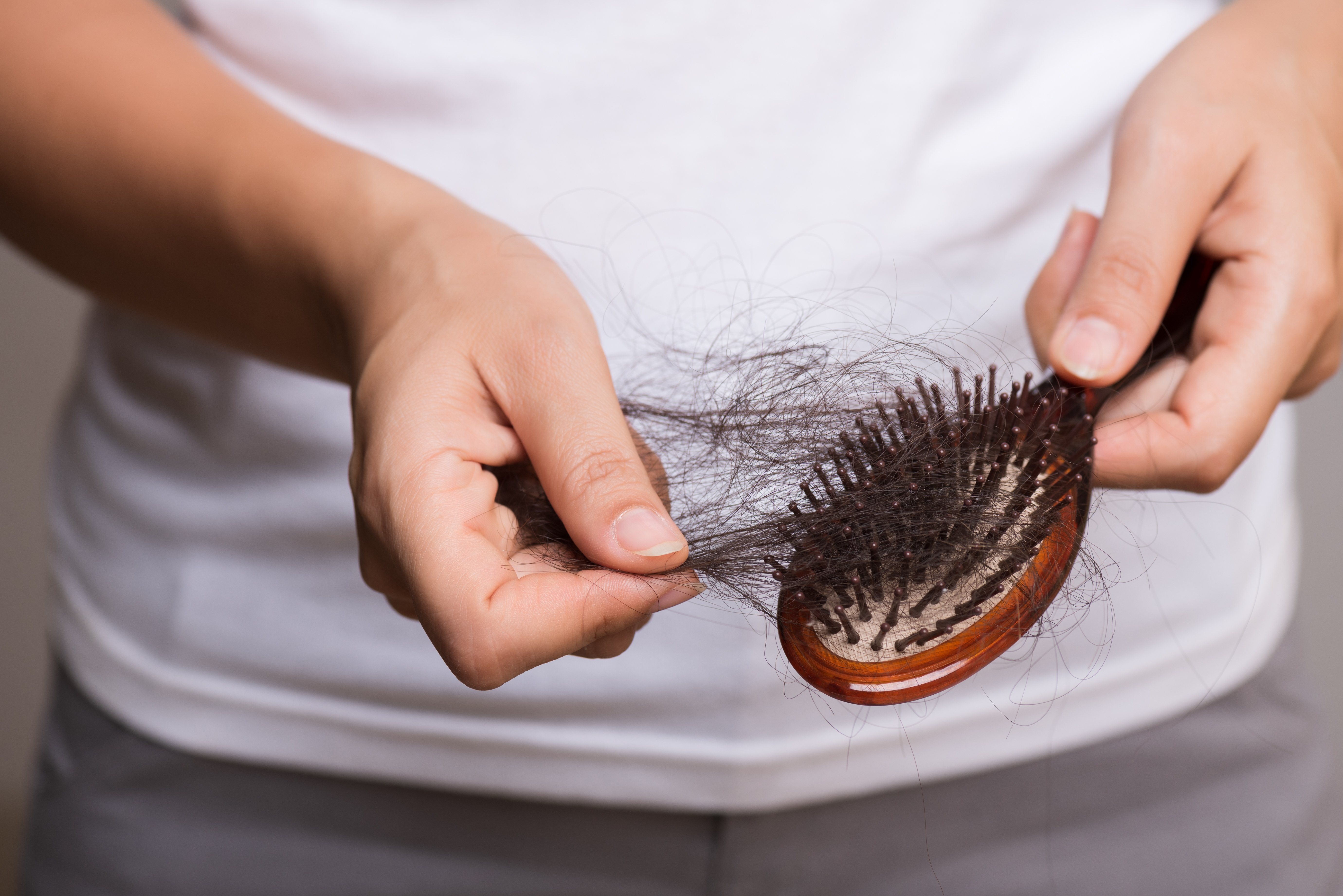 Brossez avec les cheveux bruns. Source : Shutterstock