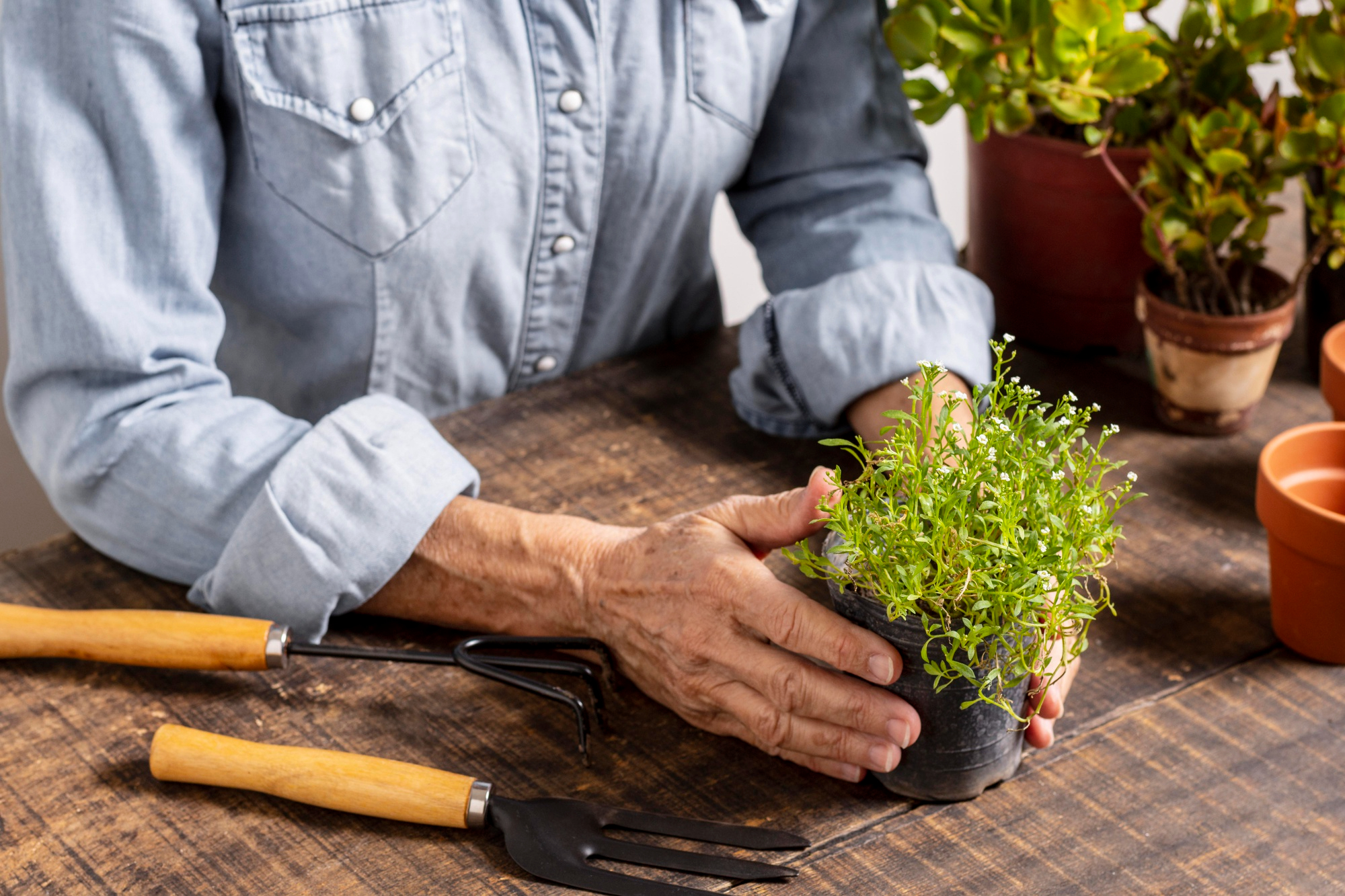 Un homme s'occupant de plantes | Source : Freepik