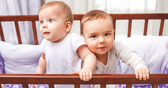 Deux bébés assissent dans un berceau | Photo : Shutterstock