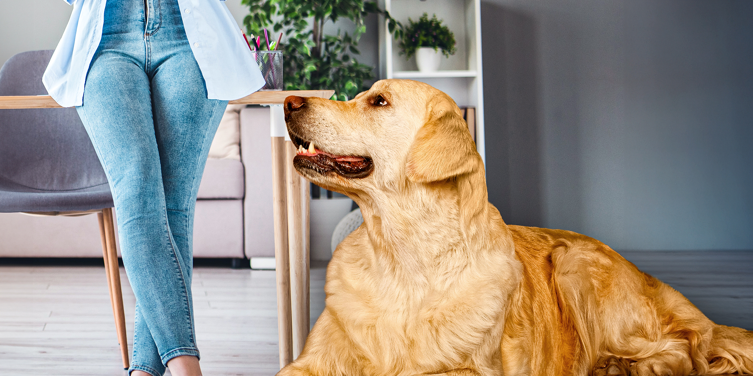 Un chien assis près d'une femme portant un jean | Source : Shutterstock