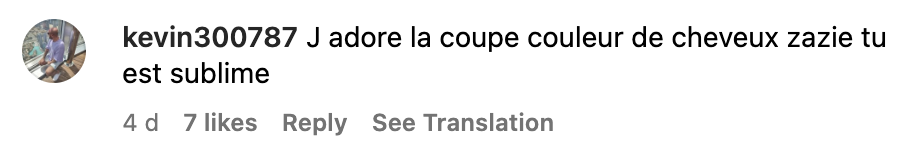 Commentaire d'un internaute sur la nouvelle coupe de Zazie | Source : capture Instagram