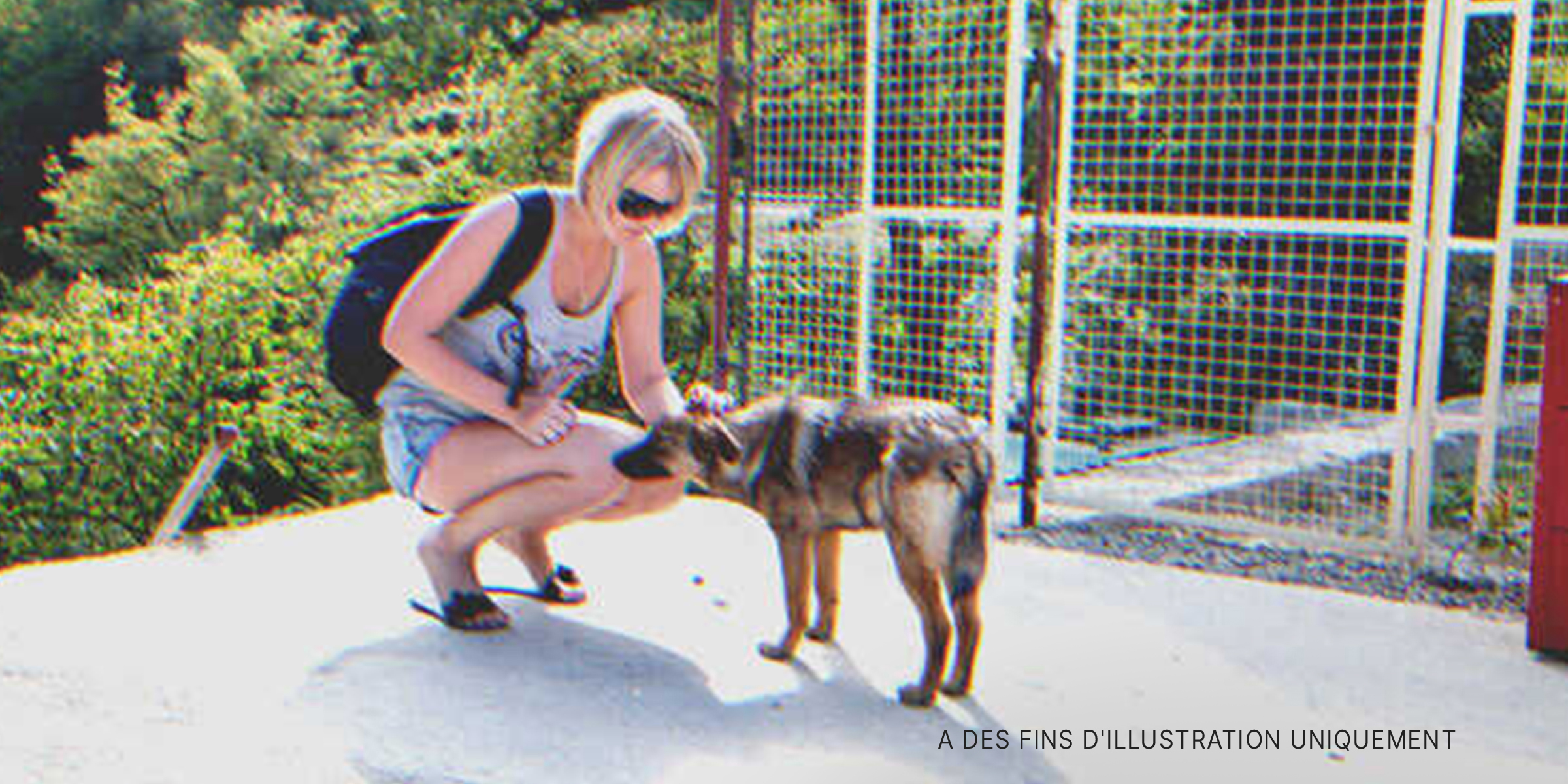 Une femme avec un chien | Source : Shutterstock