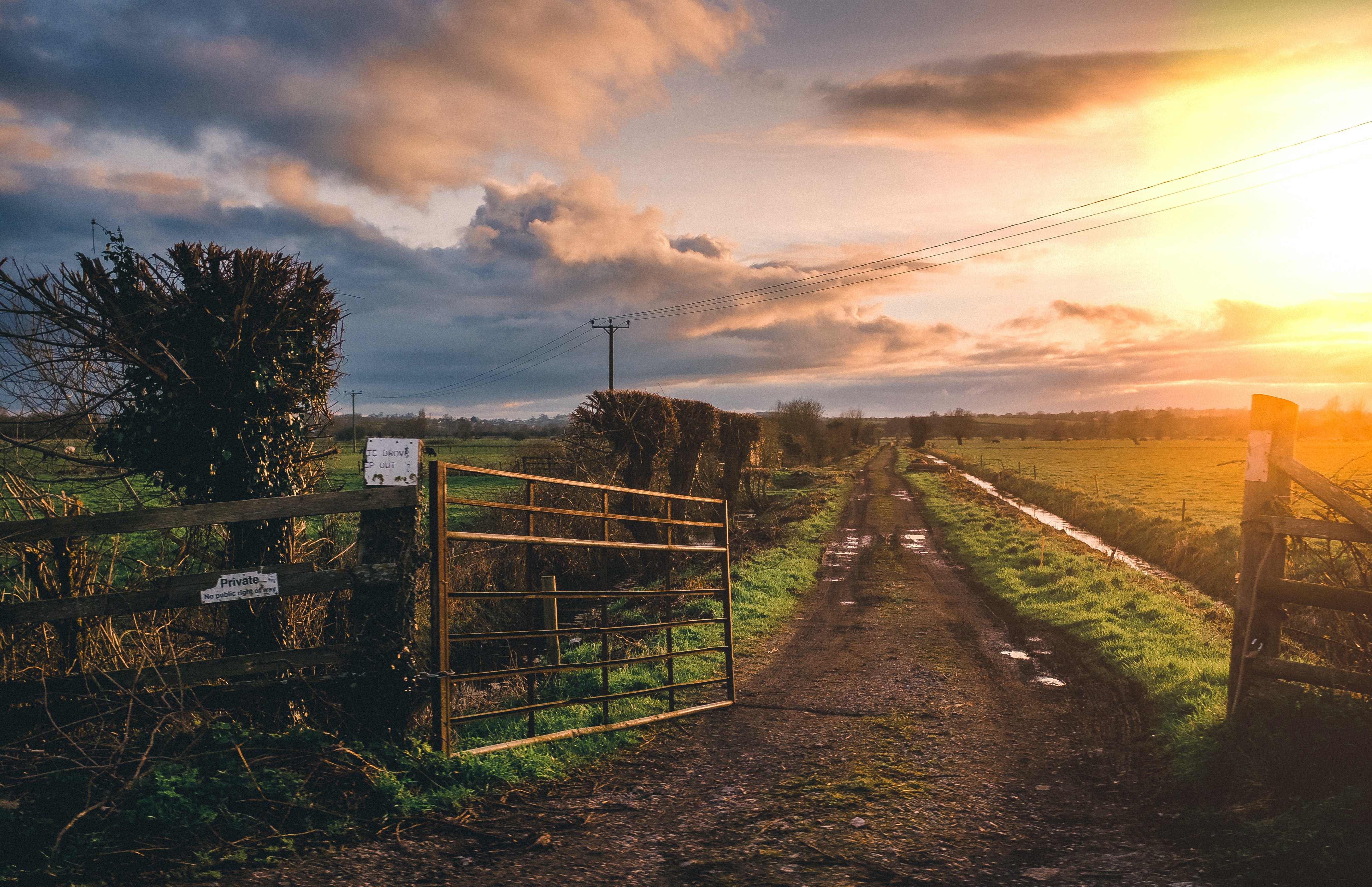 Patricia et Robbie se sont promenés dans la ferme, se remémorant leur enfance. | Source : Pexels