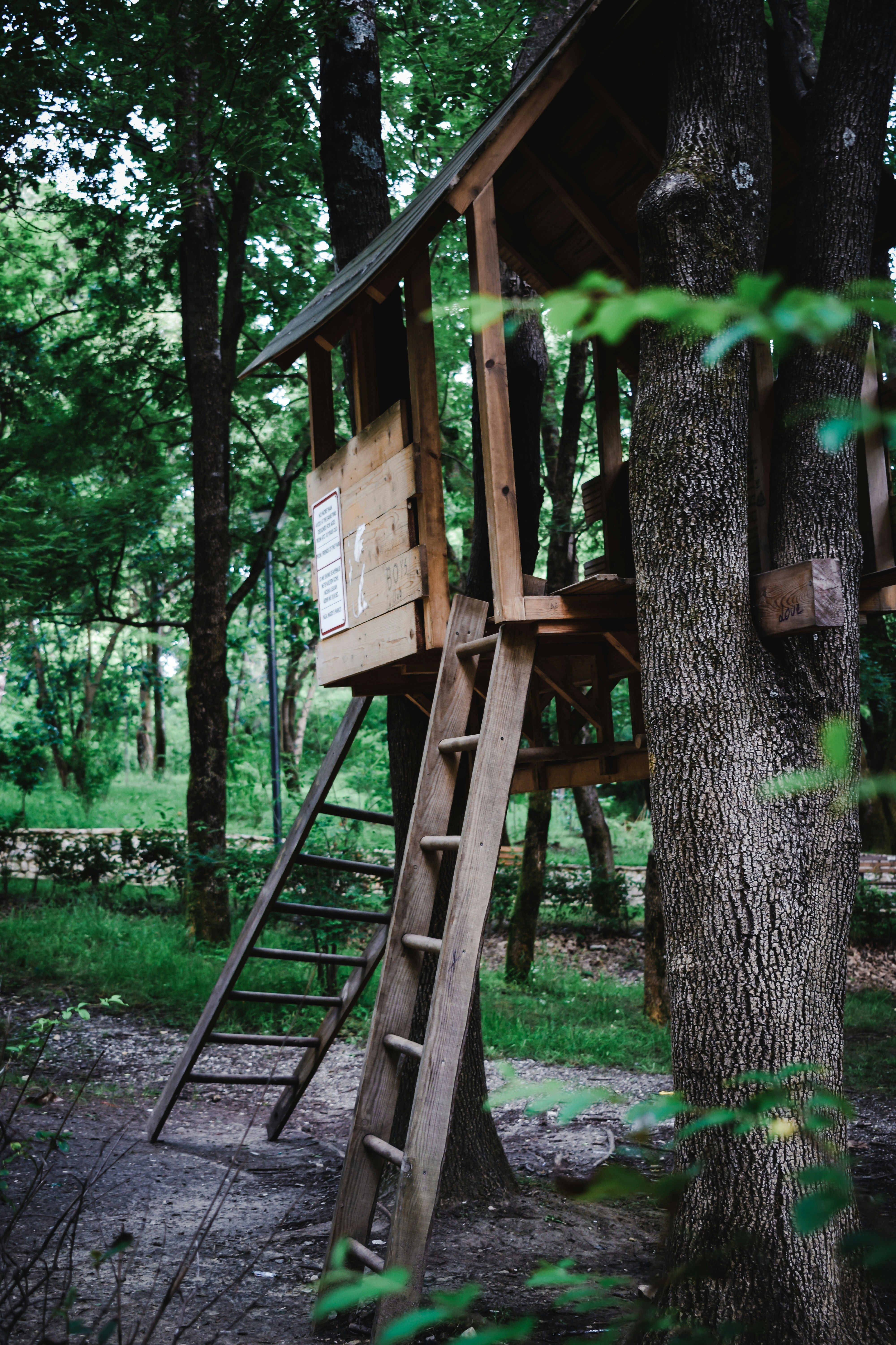 Une cabane dans un arbre | Source : Unsplash