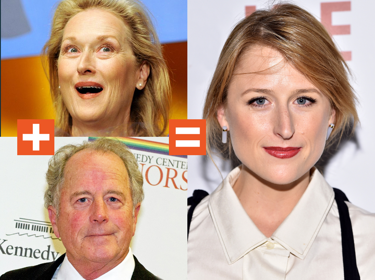 Un collage de Meryl Streep, Don Gummer et Mamie Gummer | Source : Getty Images