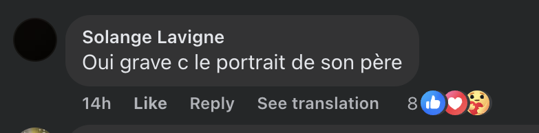 Commentaire d'internaute sur la vidéo de Giulia Sarkozy | Source : TikTok