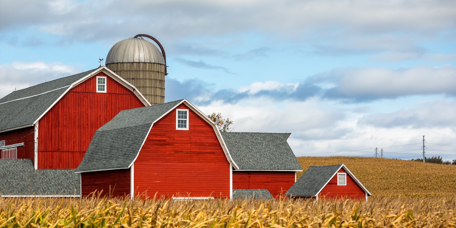 Une ferme | Source : Shutterstock