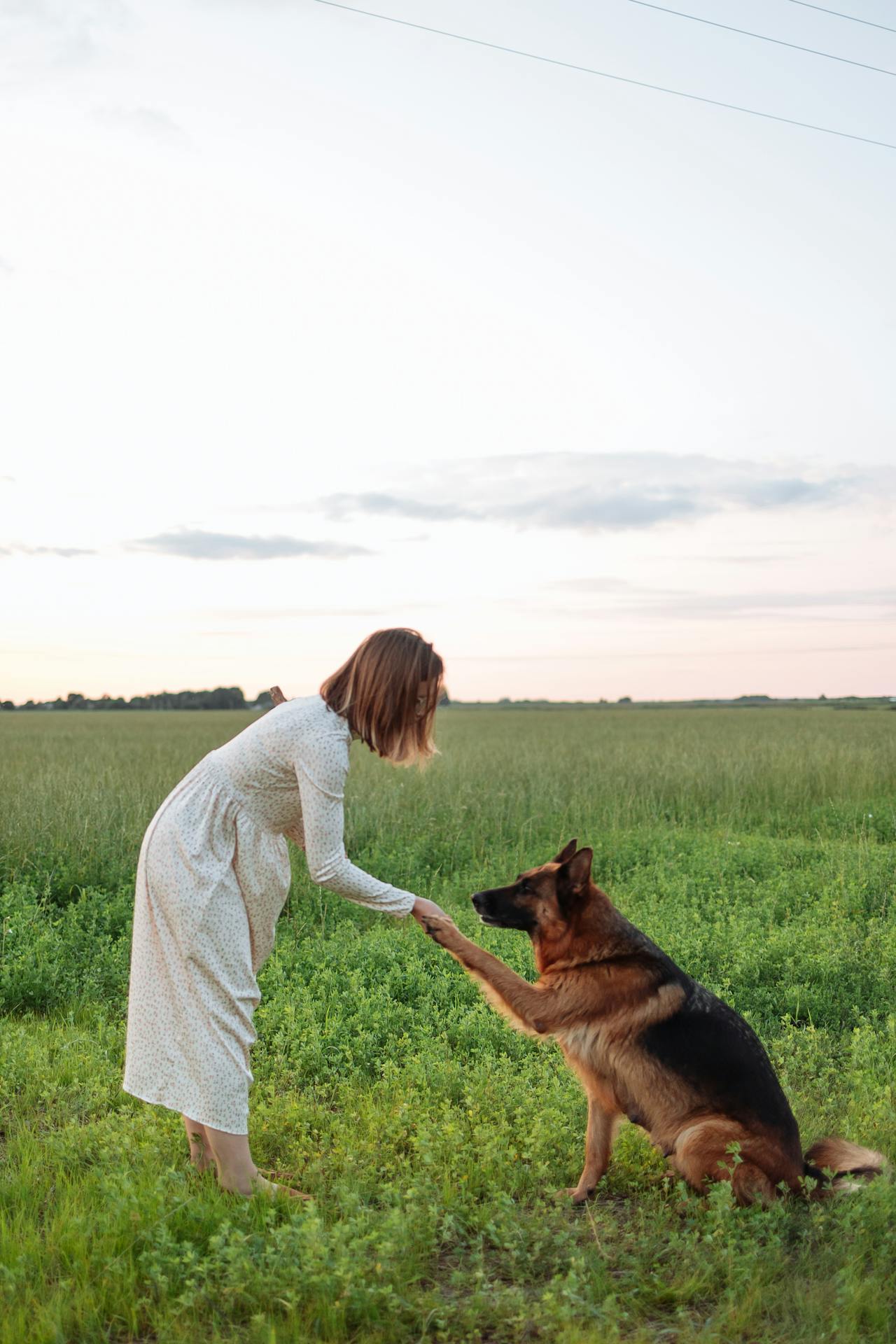 Une femme avec son adorable chien de compagnie | Source : Pexels