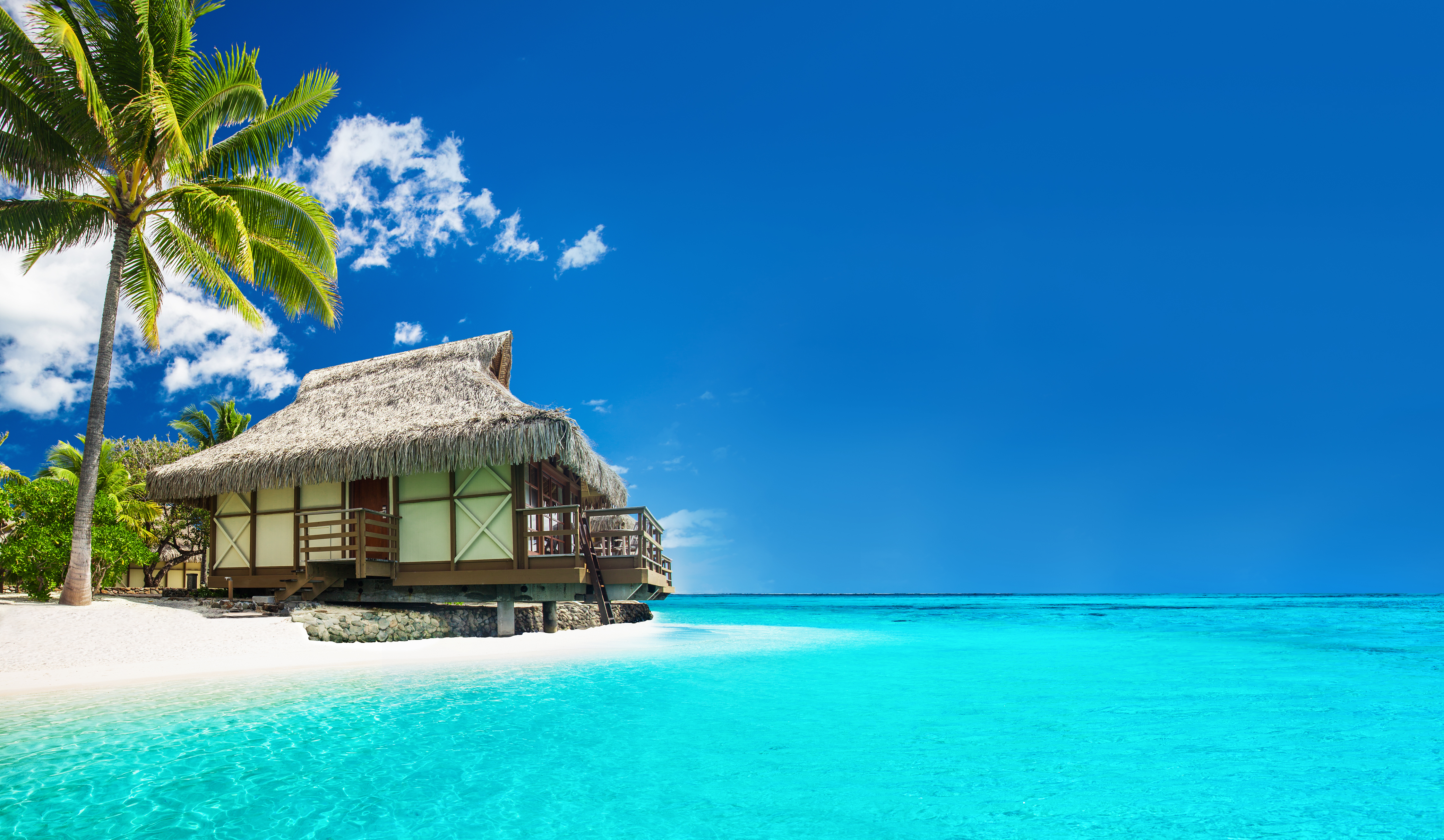 Un bungalow tropical sur la plage | Source : Shutterstock