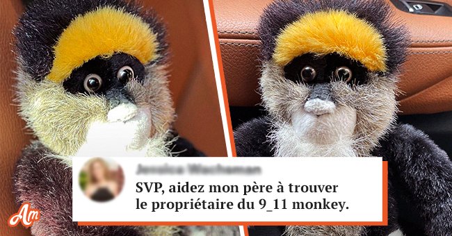 Un singe en peluche. | Source : twitter.com/JessicasVoices