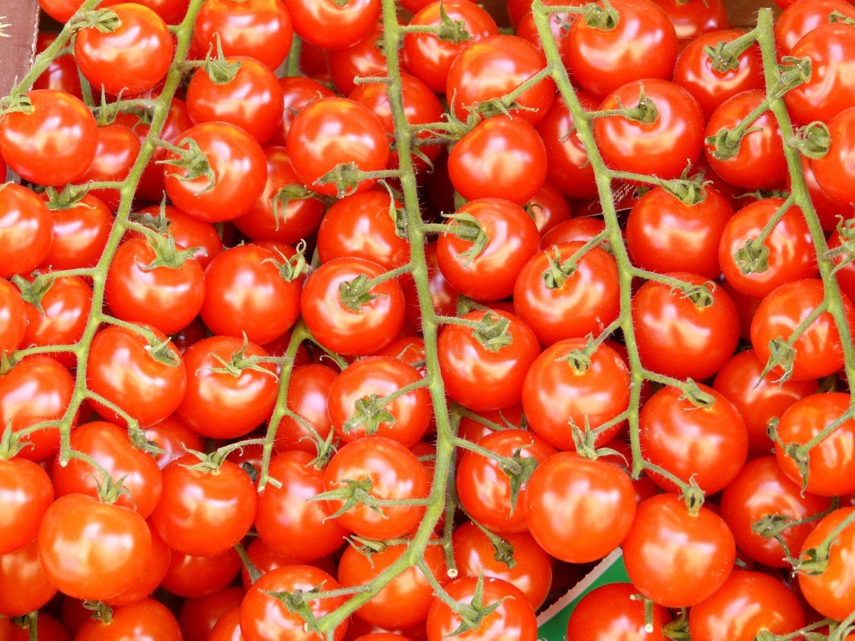 Tomates. | Image : PxHere