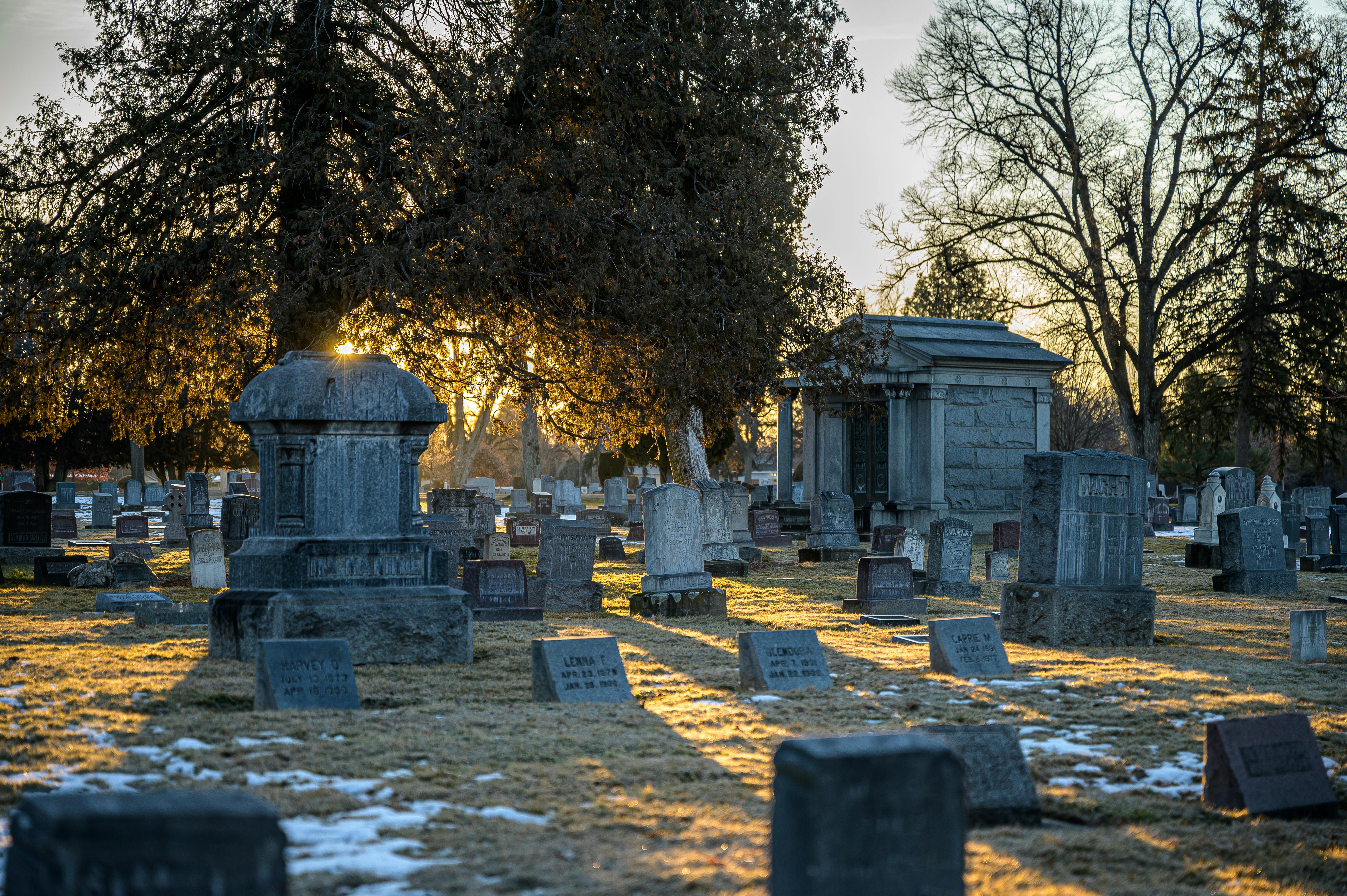 Un cimetière éclairé par le soleil | Source : Pexels