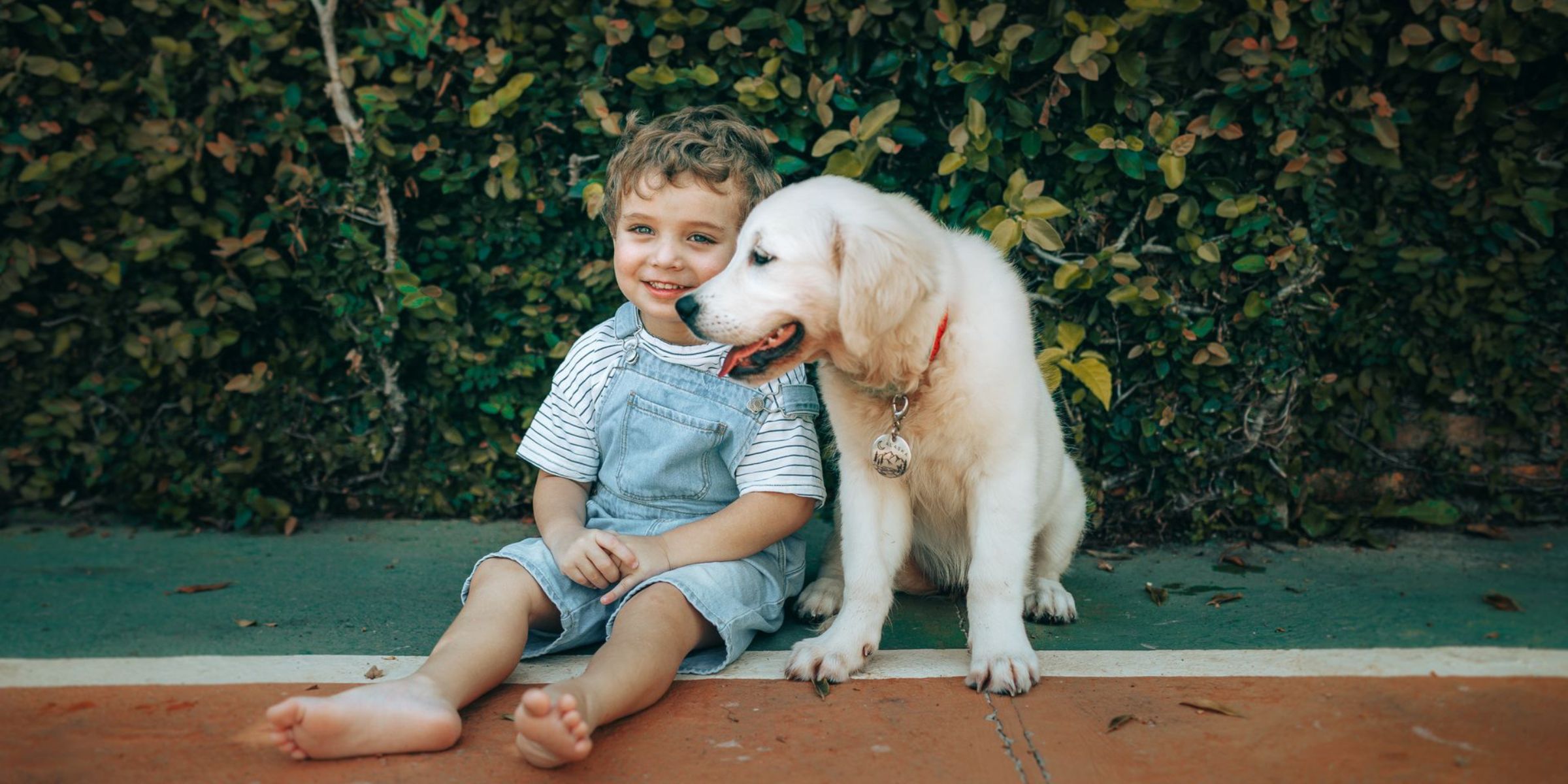 Un enfant avec un chien | Source : Pexels