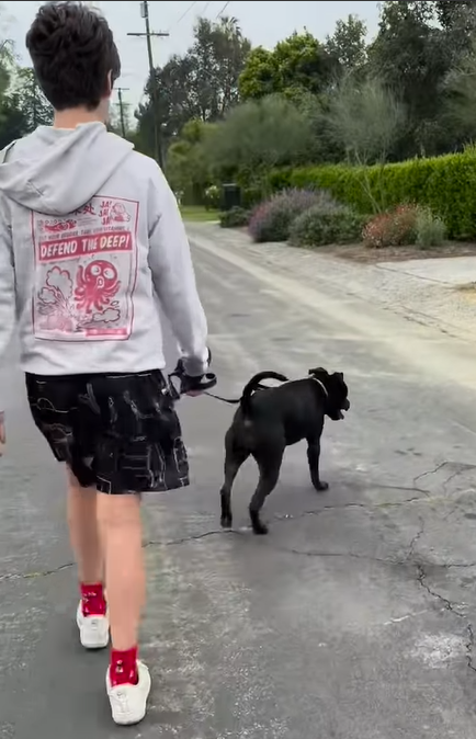 Bear Blu Jarecki promenant un chien, daté du 29 mai 2024 | Source : Instagram/aliciasilverstone