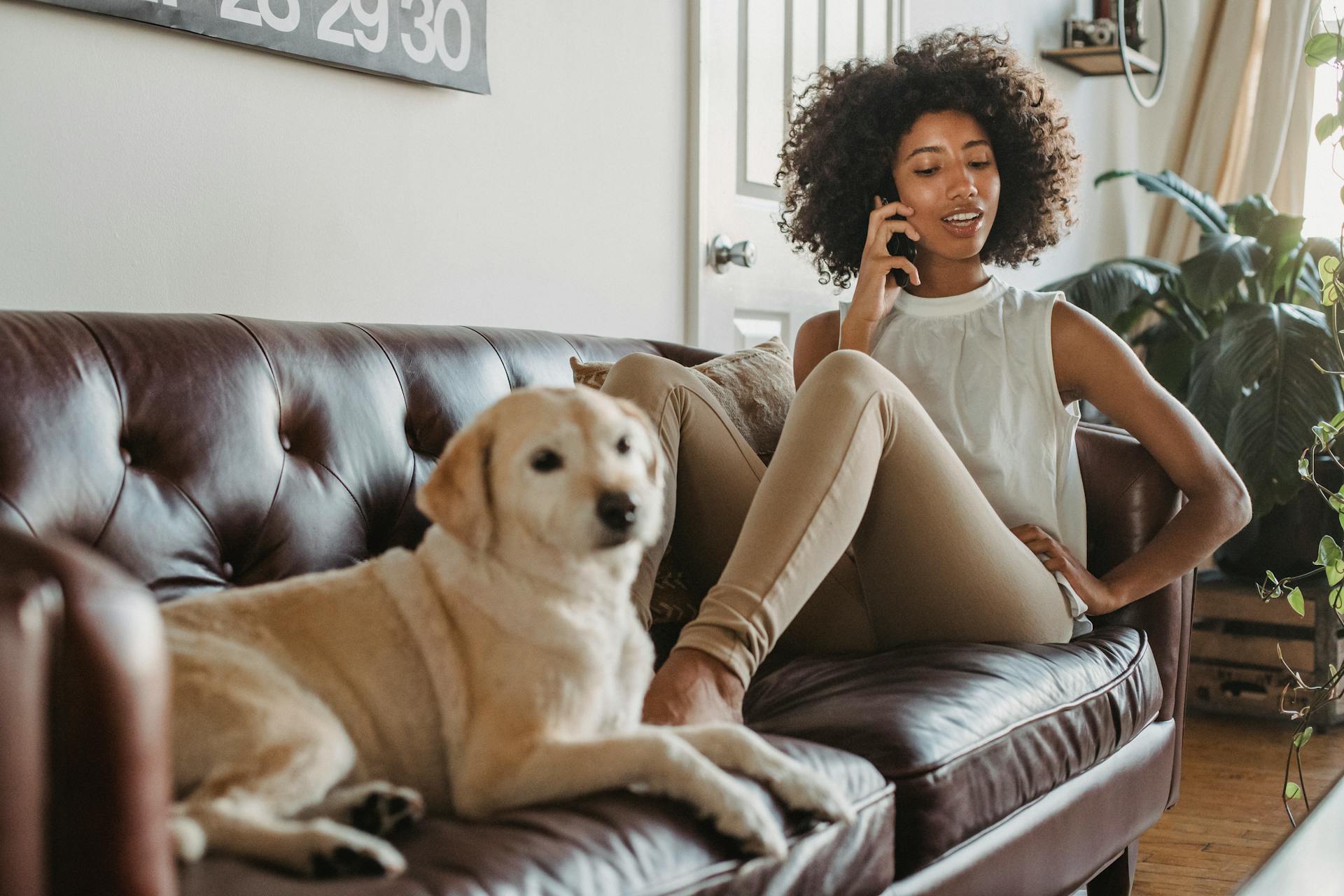 Une femme en train de téléphoner | Source : Pexels