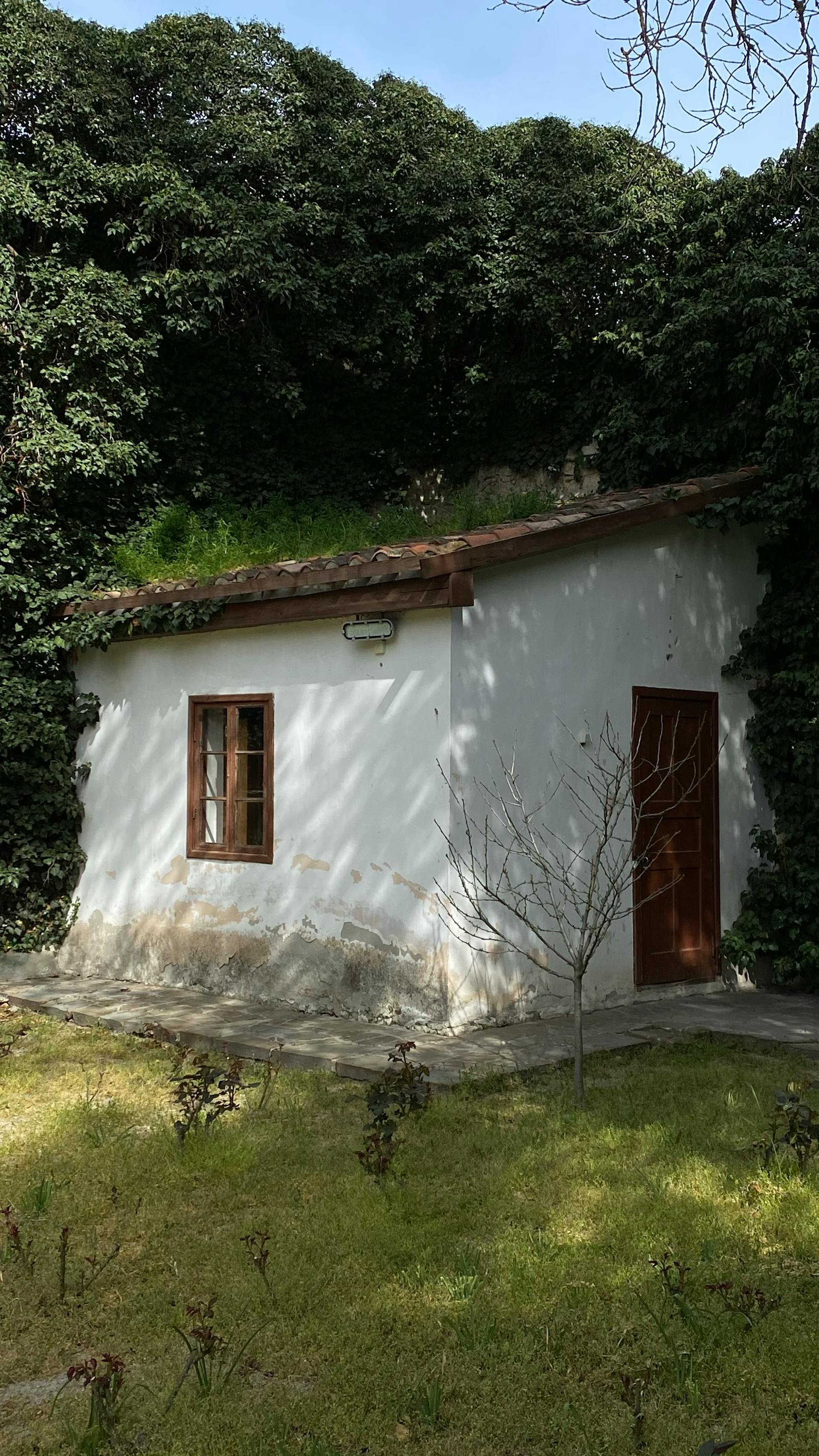 Une maison | Source : Pexels