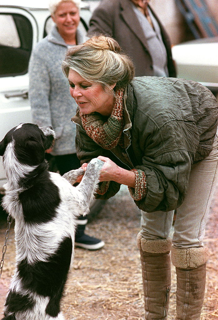 L'actrice française et militante pour les droits des animaux Brigitte Bardot joue avec un chien à son arrivée au chenil de Cabries (sud de la France) le 17 janvier 1989, afin de promouvoir l'adoption d'animaux abandonnés I Source : Getty Images