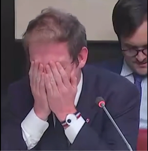 Pierre Cazeneuve | Source : TikTok/memespolitiques