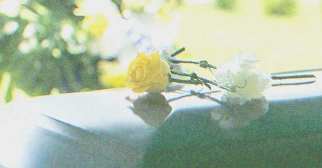 Fleurs sur un cercueil | Source : Shutterstock