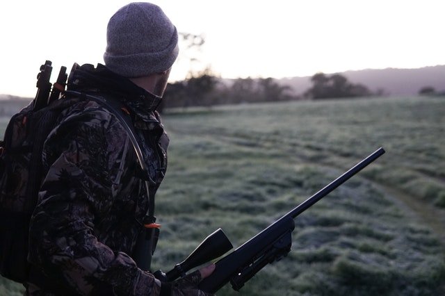 Un chasseur avec un fusil dans la forêt | Photo : Pexels