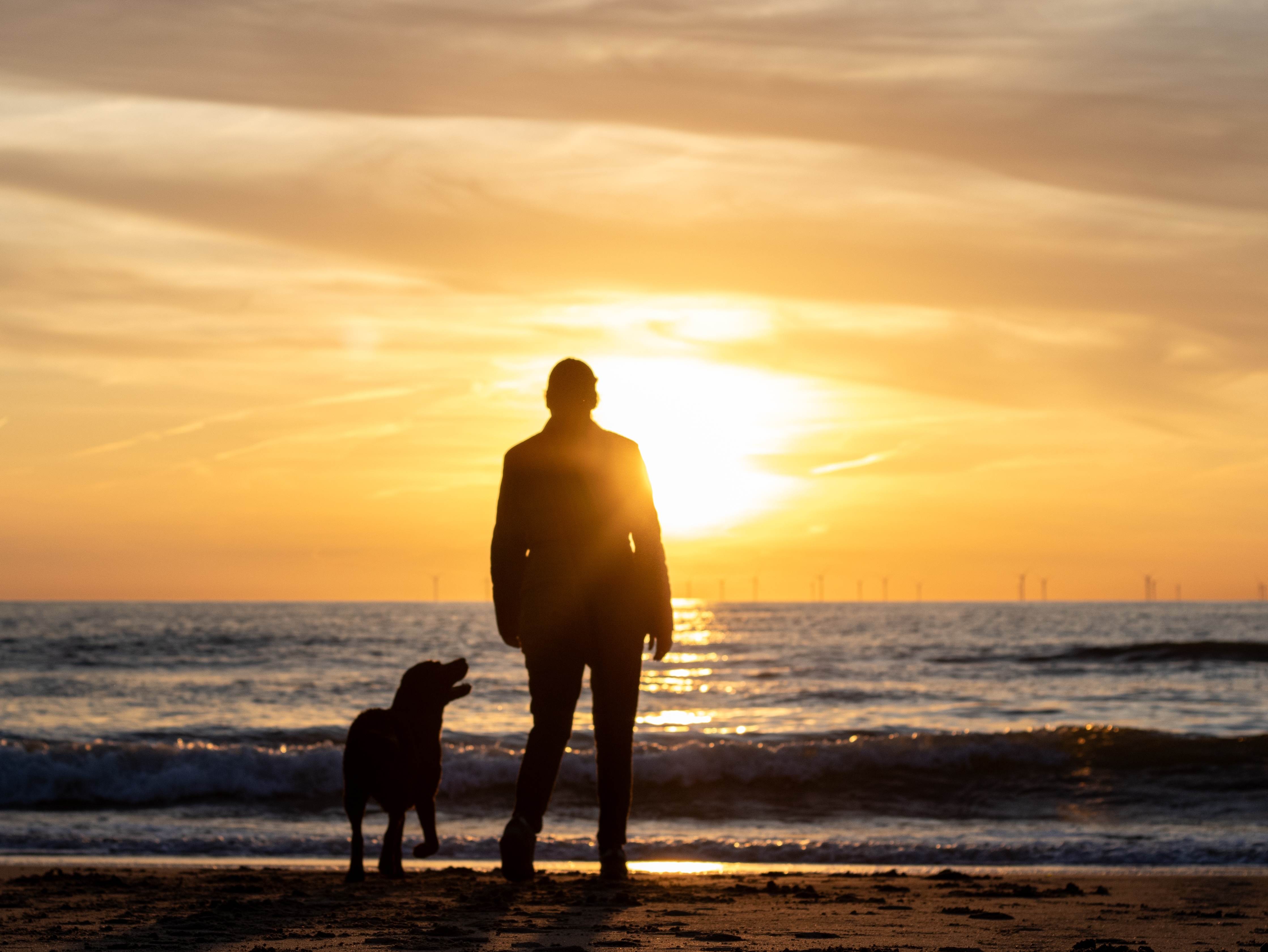 Silhouette d'un homme et de son chien à la plage pendant le coucher du soleil | Source : Shutterstock