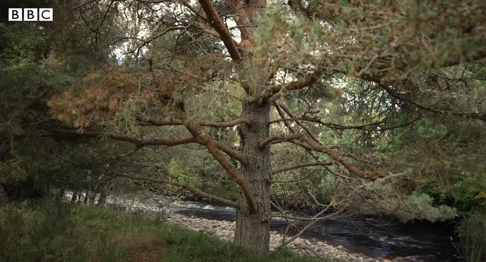 La rivière Muick dans le domaine de Balmoral, datant de 2022 | Source : YouTube/BBC News