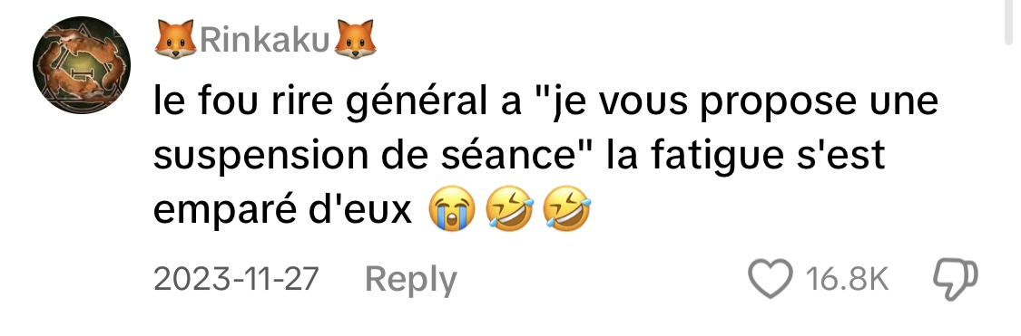 Commentaire d'un internaute | Source : TikTok/memespolitiques