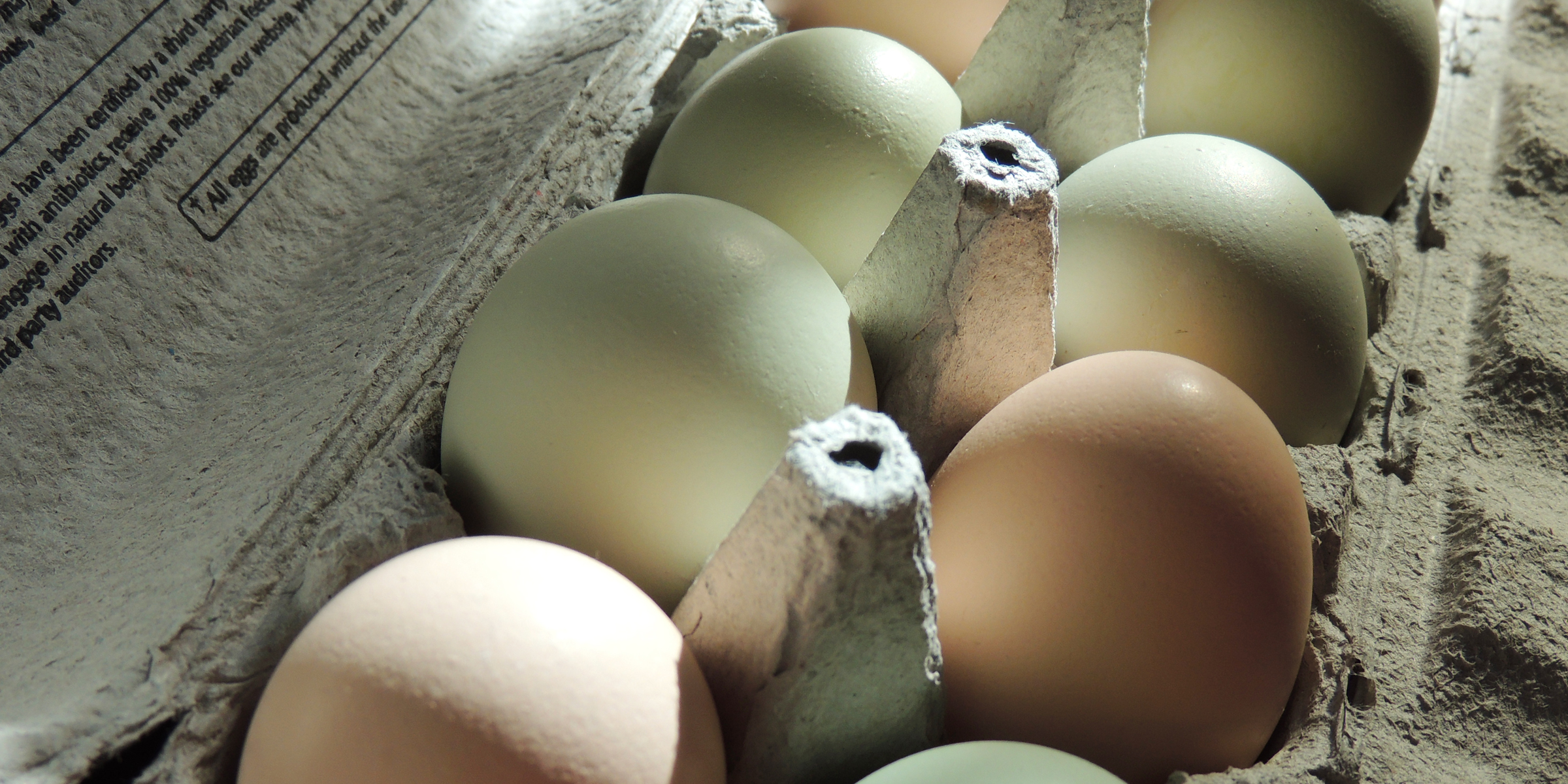 Œufs dans une boîte en carton | Source : Flickr(Public Domain) par Nutrition, sécurité alimentaire et santé.